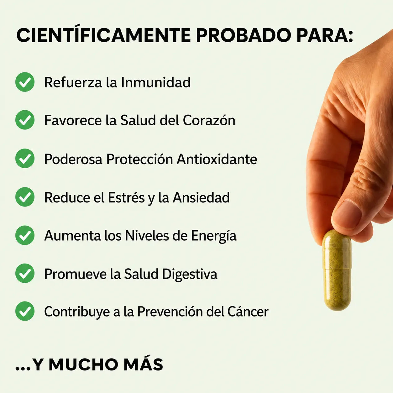 Suplemento de extracto de cúrcuma 100% orgánico 10 en 1