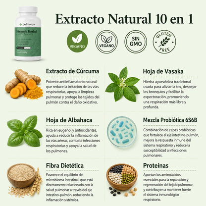 Suplemento de extracto de cúrcuma 100% orgánico 10 en 1